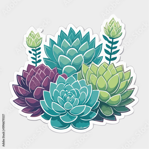 Illustration of a cluster of colorful succulent plants