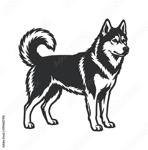 Siberian Husky dog vector illustration, black and white Alaskan Malamute standing profile, minimalist canine pet mascot icon for logo design