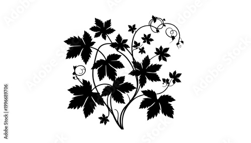black and white flowers