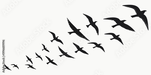 Fotografie Group of birds flying in a v-formation silhouette isolated on a white background