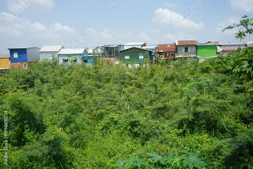 houses in the forest