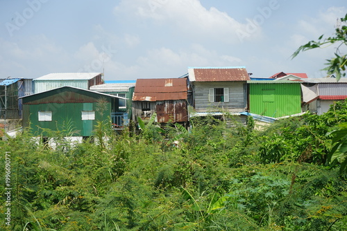 houses in the forest