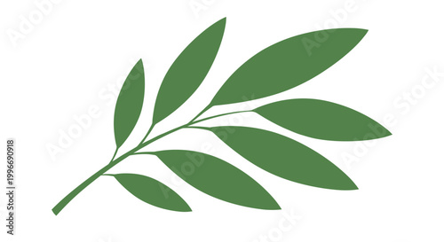 Single green leaf branch with multiple small leaves in a clean and simple minimalist style isolated on a white background.