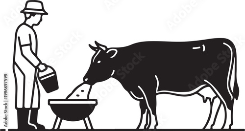 Man feeding cow from bucket