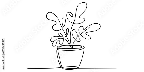 Continuous line drawing of a small potted houseplant with curly leaves Vector, illustration