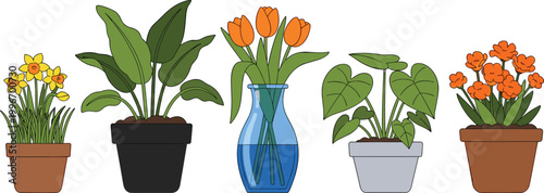 Set of Flowering Potted Plants in Various Pots for Home Decor, Gardening, and Nature-Inspired Projects