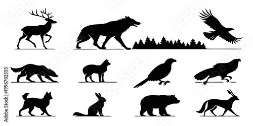 Vászonkép Collection of wild animal silhouettes including forest creatures and predatory b