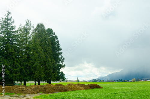 View of Canada Countryside, Fraser Valley, BC
