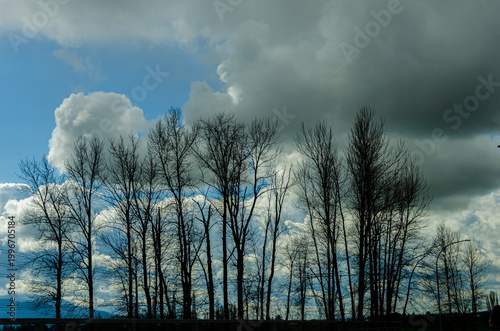 View of Canada Countryside, Fraser Valley, BC
