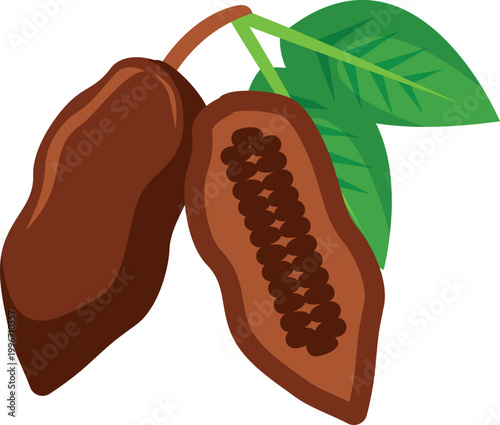 Watercolor Cocoa Pods and Beans, Isolated on Transparent Background, Botanical Illustration, Food, Ingredient, Cocoa, Beans, Chocolate