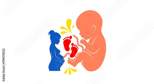  International Day of the Midwife Illustration depicting a pregnant woman and a fetus, symbolizing new life and the journey of pregnancy and birth