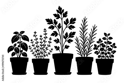 set of silhouettes of plants