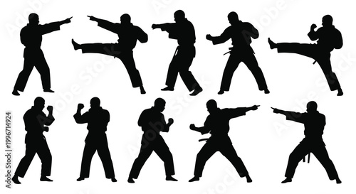 A collection of black silhouettes depicting various martial arts poses and forms silhouette