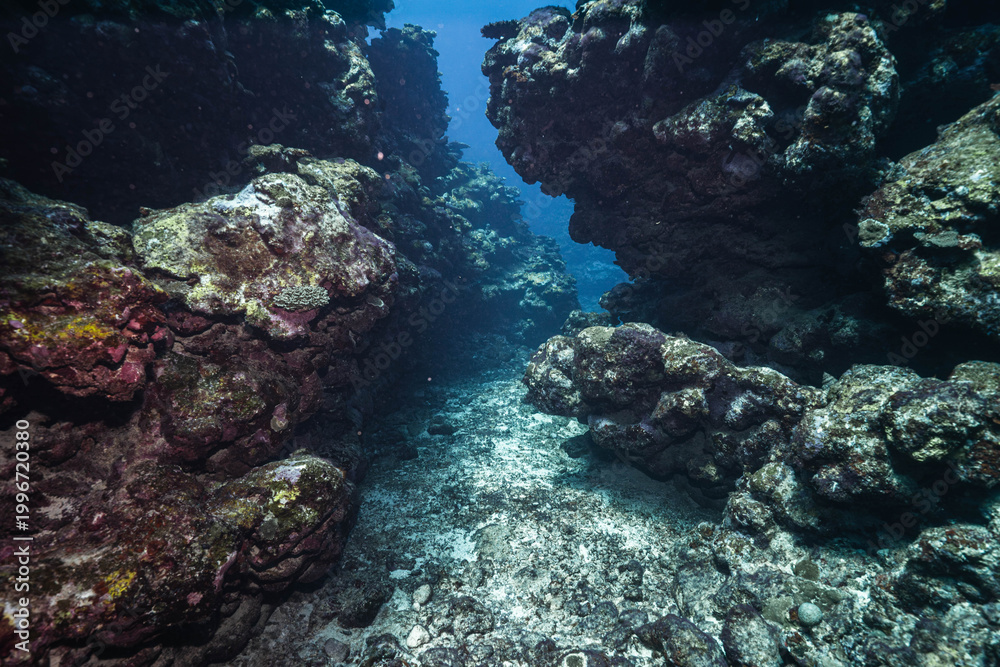 Fototapeta premium Clear Lagoon Water Over Coral Reef Formation
