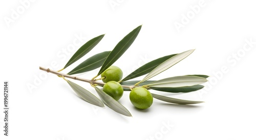 Olive branch with green olives and leaves isolated on a white backdrop