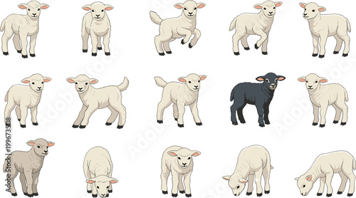 Set of Cute Lamb Illustrations Featuring Various Breeds and Poses Including Standing Jumping and Grazing for Farm Theme and Domestic Animal Graphic Designs
