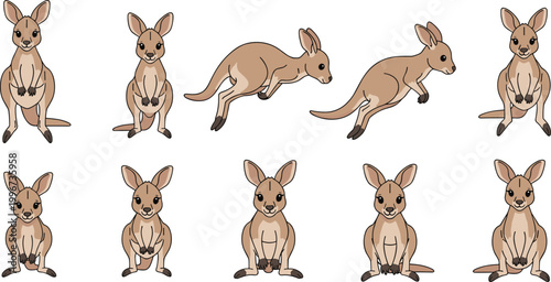 Set of Cute Kangaroo Illustrations Featuring Adult and Joey Marsupials in Various Poses Including Standing Jumping and Sitting for Wildlife Education and Australian Theme Graphic Designs