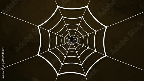 spider web animated halloween, spider goes up hanging on black background. 