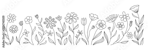 Floral Harmony: A delicate hand-drawn illustration showcases an array of wildflowers, each intricately sketched with flowing lines and exquisite detail, embodying nature's delicate beauty.