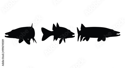 Three predatory fish swim in a line depicted as a striking silhouette