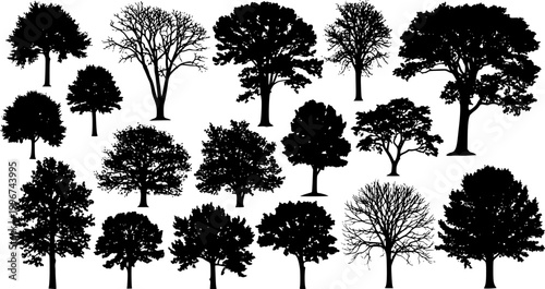 various deciduous trees silhouettes on the white background