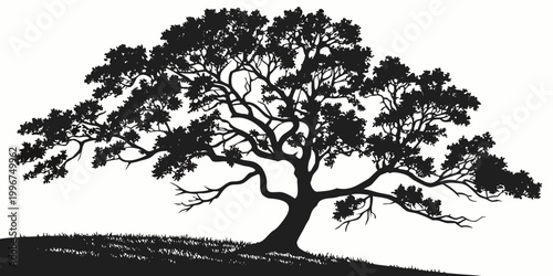 Isolated black silhouette of old spreading tree on grassy mound with silhouette landscape illustration woodland isolated botanical environment seasonal wildlife spreading