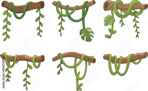 Jungle liana vines hanging on wooden branches