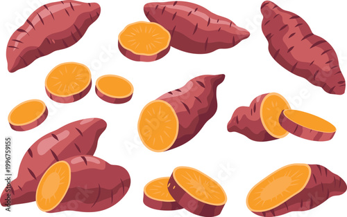Sweet potato set, sliced and whole tubers, organic root vegetable food vector illustration collection