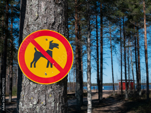 No dogs allowed sign attached on pine tree trunk near a beach in Oulu, Finland