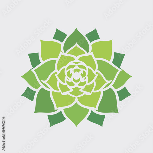 Stylized Green Succulent Plant Illustration