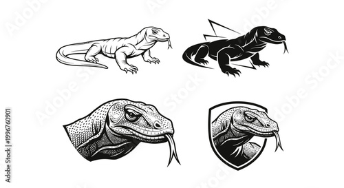 Komodo Dragon Illustration Set - Detailed Reptile Graphics for Design Projects.