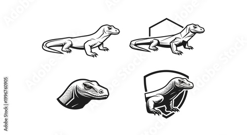 Komodo Dragon Illustration Set - Detailed Reptile Designs for Creative Projects.