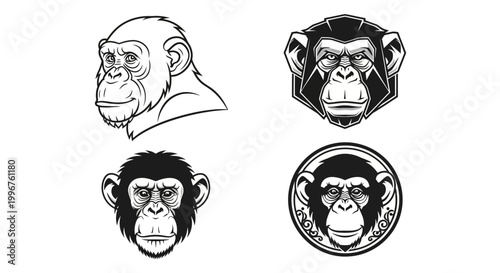 Monochrome Monkey Head Illustrations - A Collection of Detailed Designs.