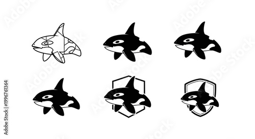 Orca Whale Vector Graphics - A Collection of Killer Whale Designs.