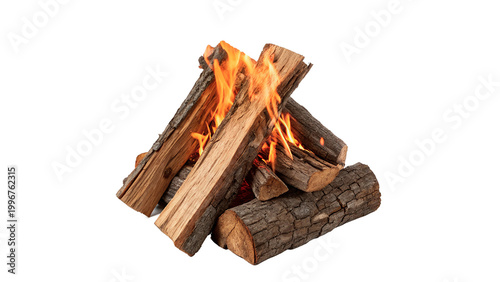 Tableau sur toile Firewood is stacked and burning brightly in a campfire setup for warmth and cook