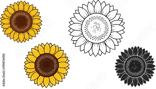 Sunflower vector set with yellow floral heads, black and white line art sunflower icons, botanical blossom collection for summer wedding decor
