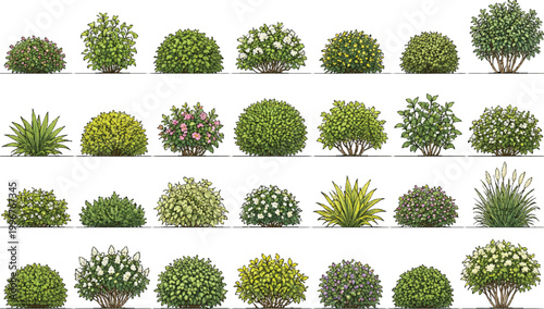 Set of shrubs and bushes in elevation view for use in architectural drawings