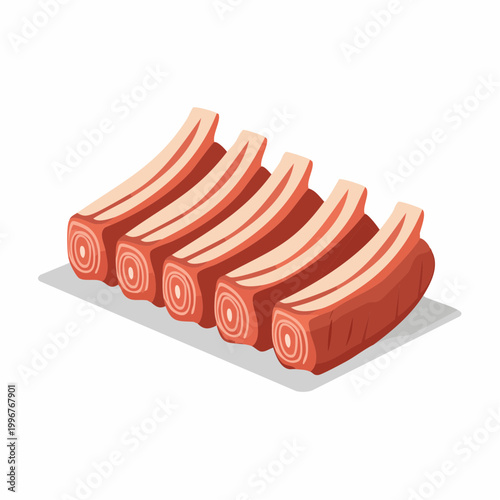 Raw Rack of Pork Ribs