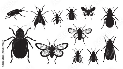 Black insect silhouettes collection, set of 12 detailed bug icons, various beetle and fly vector shapes for biology and nature design projects
