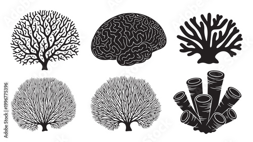 Black coral silhouettes set, 6 underwater sea life vector icons, marine reef organism illustrations, aquatic nature elements for ocean design