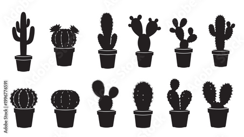 Black cactus silhouette icons set, 12 desert plant vector illustrations in pots, minimalist succulent silhouettes for logo design and web graphics