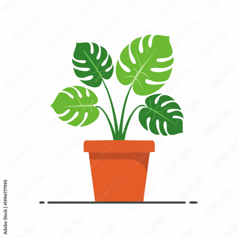 Obraz premium Monstera Plant in a Terracotta Pot