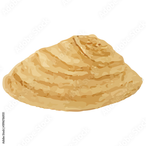 Ridged Clam Seashell Natural Marine Ocean Shell Beach Coastal Design