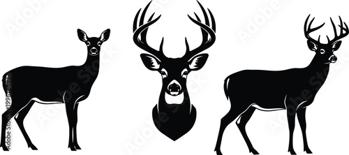 Foto Elegant Deer Silhouette Vector Set with Doe Buck and Antlered Stag Head Trophy o