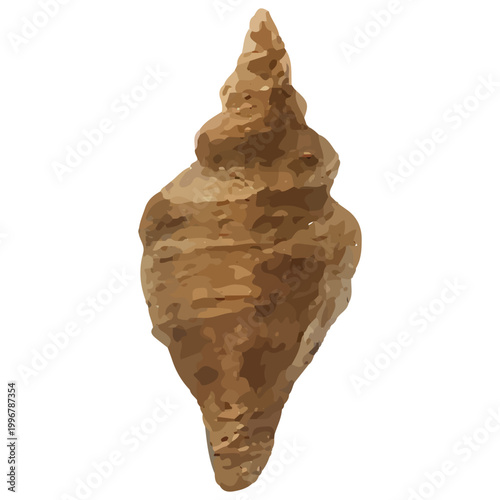 Dark Spiral Seashell Marine Ocean Shell Beach Natural Coastal Design