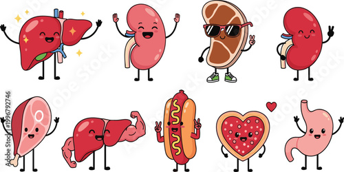 Cute cartoon organs and food characters vector illustration set with liver, kidney, stomach and funny healthy lifestyle mascots