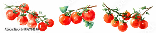 Watercolor painting depicting clusters of red cherry tomatoes and individual larger tomatoes on separate green and brown vine branches, presenting natural and fresh organic produce