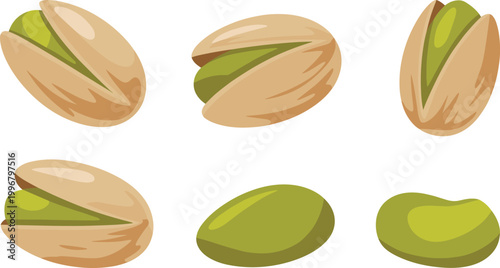Pistachio set, shelled nuts and kernels, healthy snack food vector illustration collection