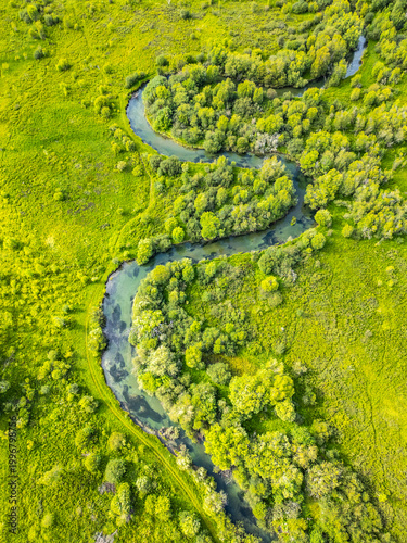 Aerial view captures the meandering river flowing through a vibrant green valley surrounded by lush trees. The tranquil landscape showcases the beauty of nature in the Alps region.