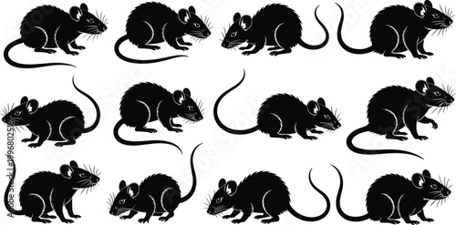 rat, silhouette, set, collection, rodents, black, vector, illustration, animal, wildlife, isolated, design, engraved, vintage, pest, mouse, decorative, clipart, bundle